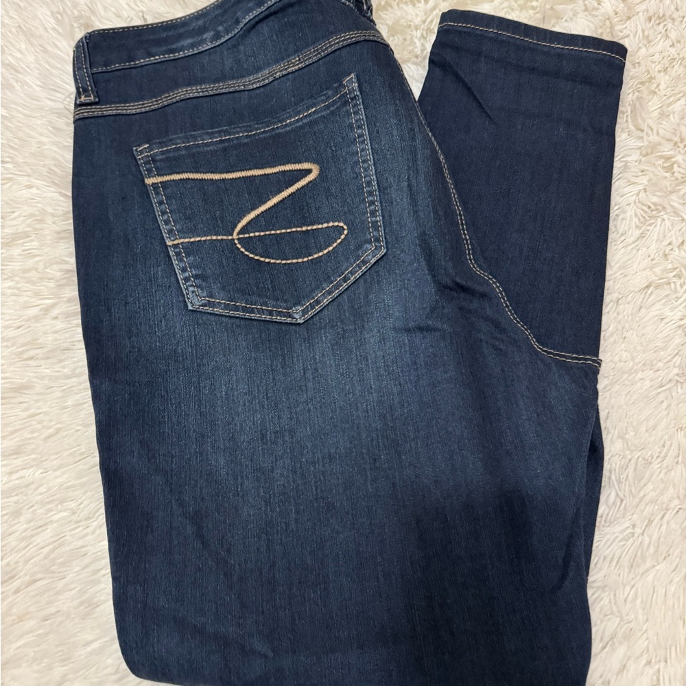 Melissa McCarthy Blue Jeggings Classic Style